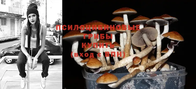 Галлюциногенные грибы Magic Shrooms  Каргополь 